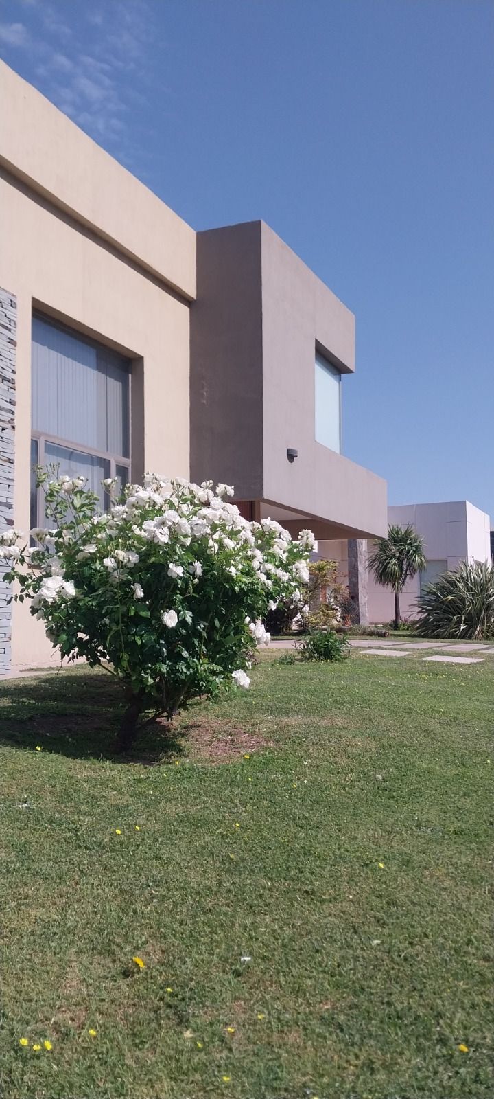 Vista del frente desde el jardín, con un rosal en primer plano